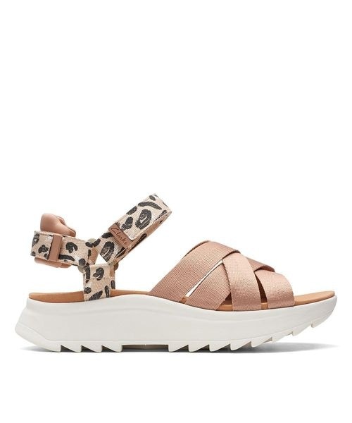 [}C]fB[X DASHLITE CROSS/N[NXiClarksj PRALINE CO