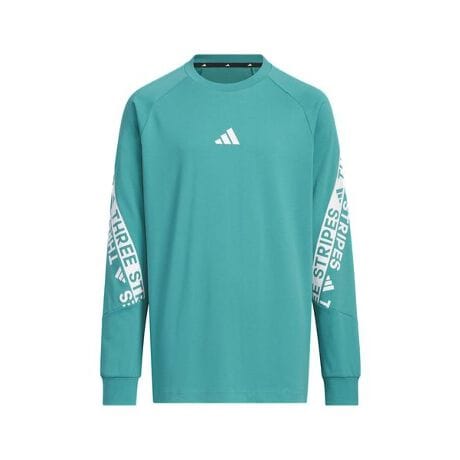 [^ԁF0002W649604]̃AfB_X̒TVćAJWAȑDރWjAɂ҂B[YtBbg̃VGbgƃ\tgȃVOW[W[nŁA׋FBƏoƂAKłBɂƃvgꂽX[XgCv́̕Auh̃X|[eB[ȃwe[W̏؂B[J[iԁFW6496 KA3786