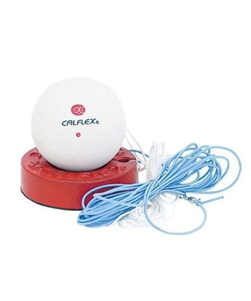 [}C]K \tgejXg[i[/̑̃uhiotherj WHT