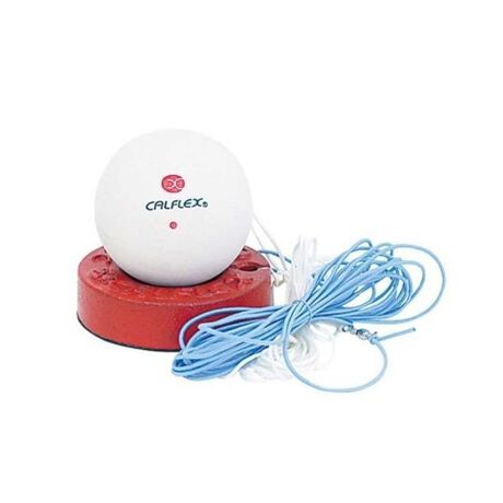 [^ԁF0998TT-2106][J[iԁFTT-21