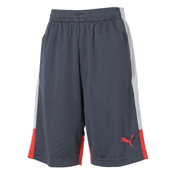 [�}���C]�T�b�J�[ INDIVILIGA TR �V���[�c JR/�v�[�}�iPUMA�j Gray Echo-Dusky Gray