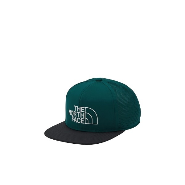[�}���C]�X�|�[�c�A�N�Z�T���[ TECH LOGO CAP (�e�b�N���S�L���b�v)/�U�E�m�[�X�E�t�F�C�X�iTHE NORTH FACE�j PT