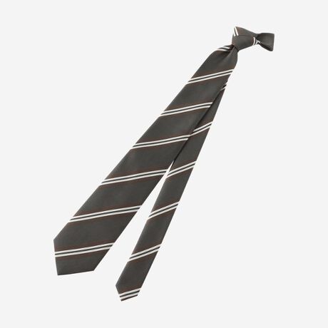 [^ԁFG1820600__]̕ƌAFׁAĈ̓ÔQ̎gpAᑬ̐D@ŎԂĐDグXgCvłBW^CƂɃTeAAbvƑgD؂ւŌIɕ\Ă܂BуV̉񕜗͂ɗDꂽAE[100%̃_uNXcɎgpĂ܂B