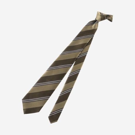 [^ԁFG1820602__]̕ƌAFׁAĈ̓ÔQ̎gpAᑬ̐D@ŎԂĐDグXgCvłBW^CƂɃTeƑgD؂ւŌIɕ\Ă܂BуV̉񕜗͂ɗDꂽAE[100%̃_uNXcɎgpĂ܂B