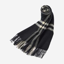 【Precious12月号】Wウィンドペンカシミヤストール