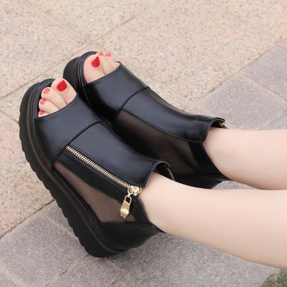 [}C]I[vgD u[cT_ fB[X/~j~jXgAiminiministorej ubN