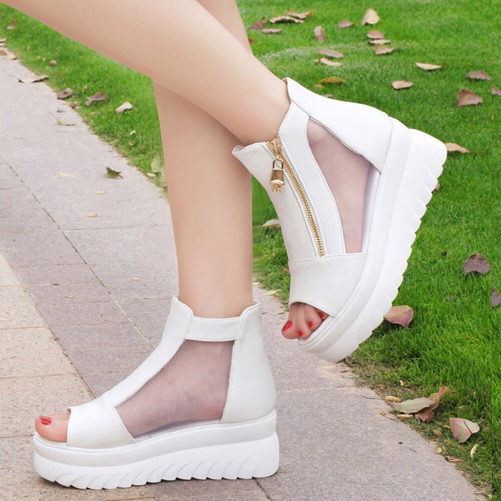 [}C]I[vgD u[cT_ fB[X/~j~jXgAiminiministorej zCg