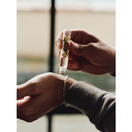 [^:CI-198]AẑɗD[I^Cv̍łBtOX:MU[c:VgXm[g̉؂₩ȃC[Wɂ܂BzCgeB[x[XɃi悭܂B