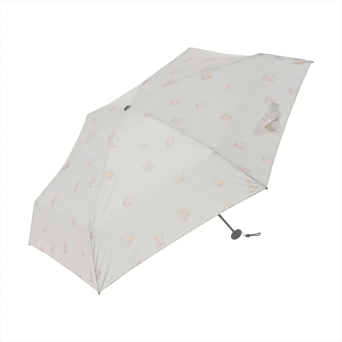 [}C]|P/jteBJ[Yinifty colorsj ܂˂x[W