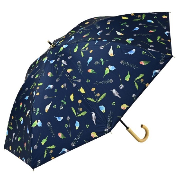 [�}���C]�Ռ������O55/�j�t�e�B�J���[�Y�inifty colors�j ���Ƃ�