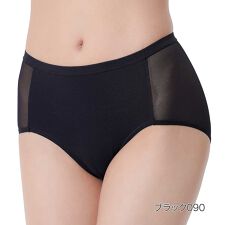 【fukuske FUN(フクスケファン)】 ショーツ 無地 スタンダードタイプ 透け感