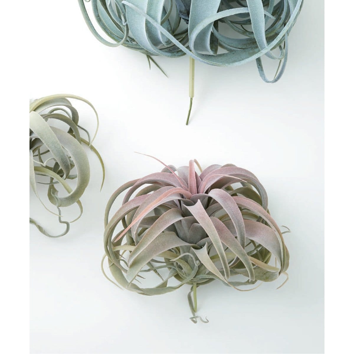 [}C]yBrown./uEzLZOtBJ sbN bh tFCNO[/W[iX^_[ht@j`[iJOURNAL STANDARD FURNITUREj O[