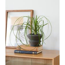 POT SET IONIA D S プラントポット 鉢 | ジャーナルスタンダードファニチャー(JOURNAL STANDARD FURNITURE)