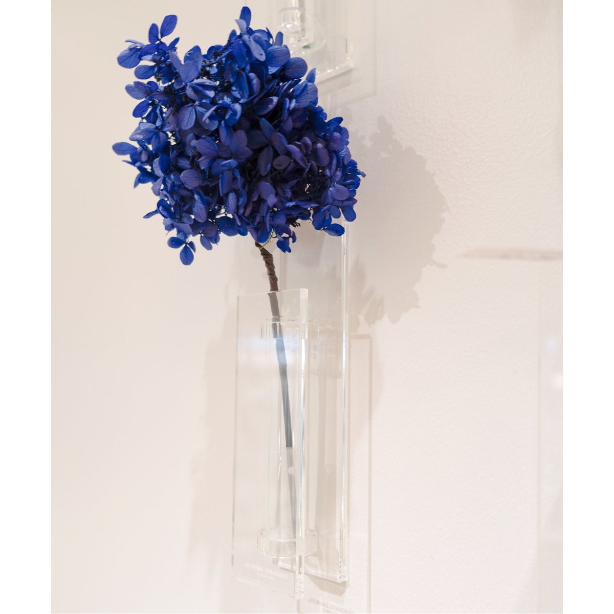 [}C]WALL FLOWER VASE Ǌ| t[x[X/W[iX^_[ht@j`[iJOURNAL STANDARD FURNITUREj \m^J[ K