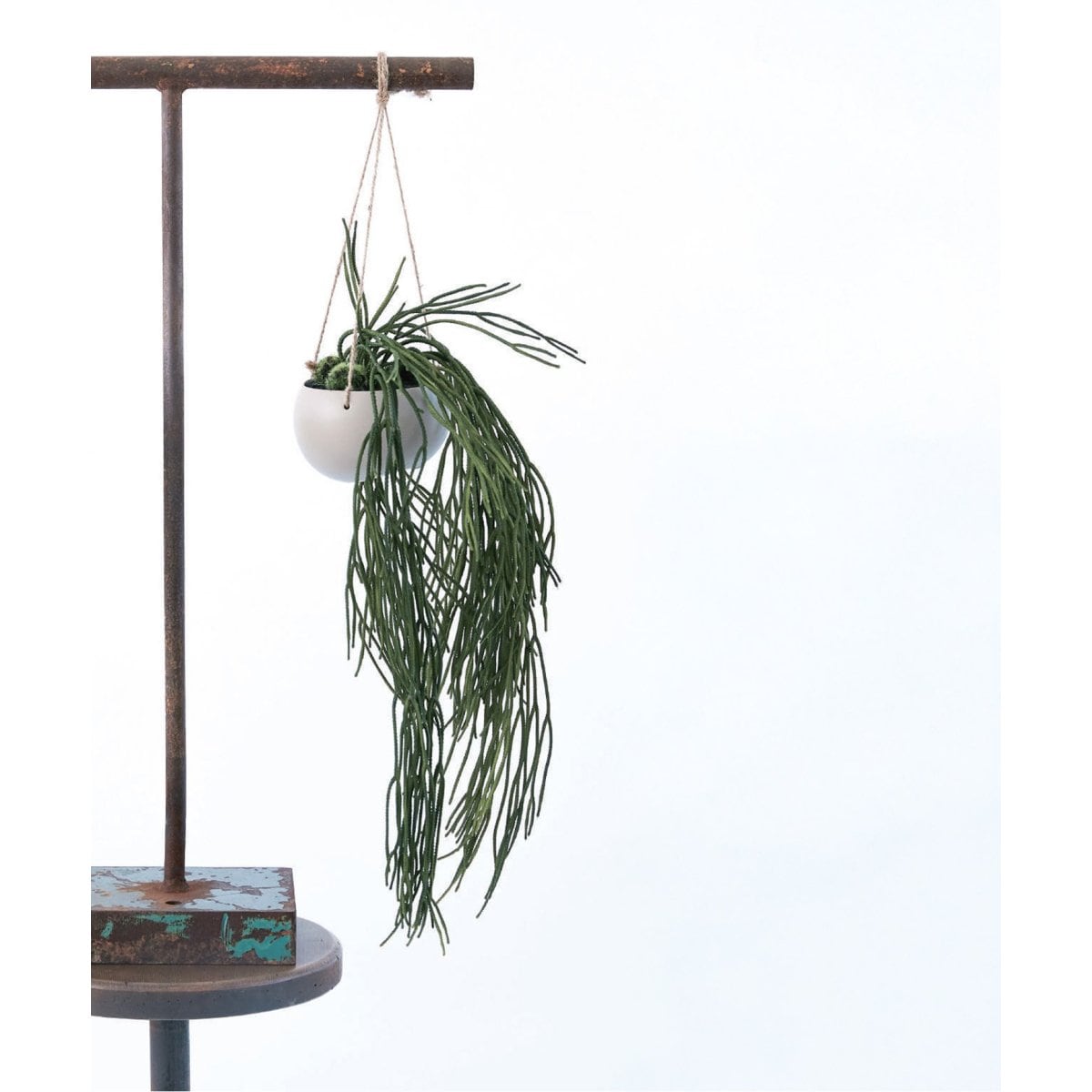 [}C]yBrown./uEzvTX BLnMO|bg tFCNO[/W[iX^_[ht@j`[iJOURNAL STANDARD FURNITUREj O[