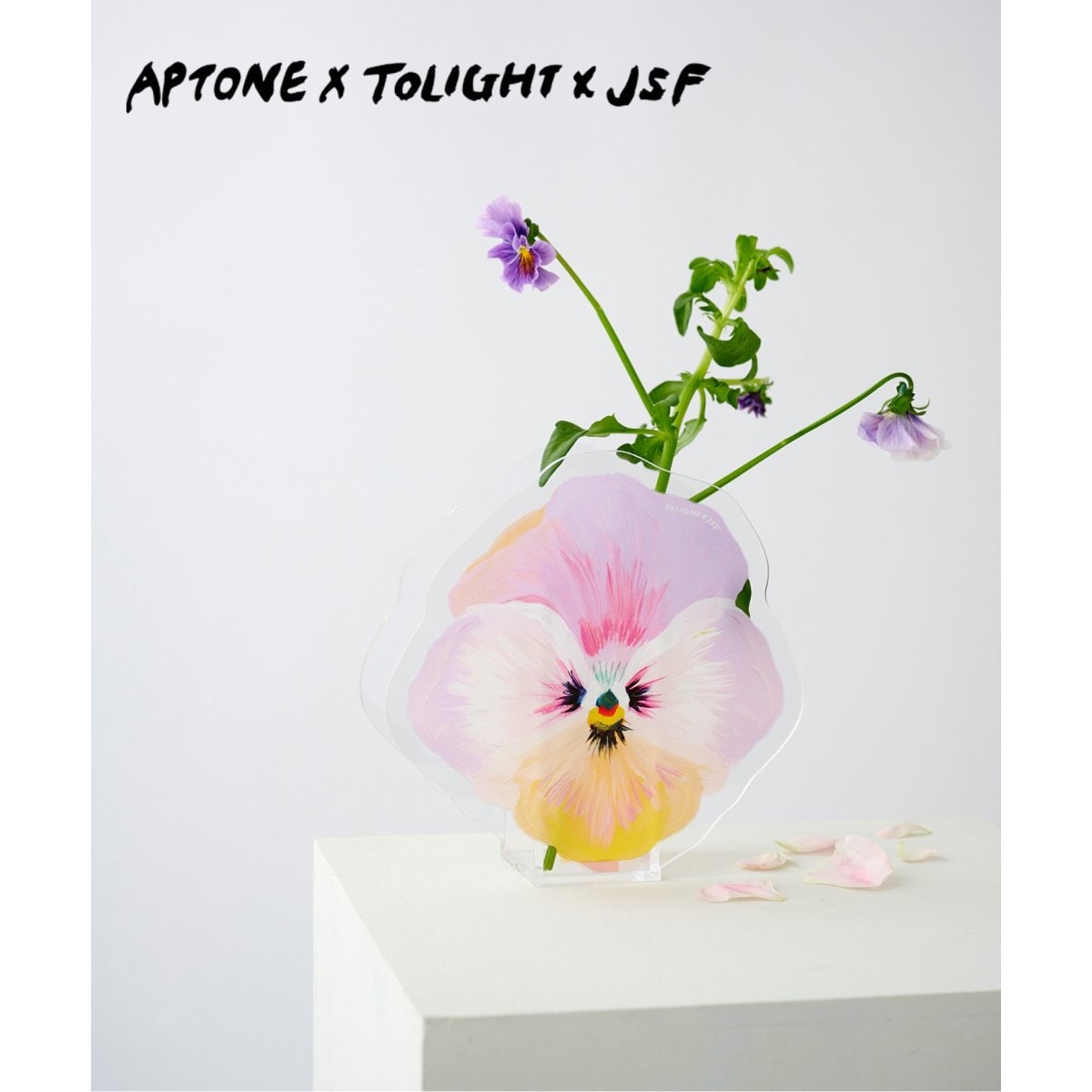 [}C]yTOLIGHT×APTONE×JSFz FLOWER VASE t[x[X Ԋ/W[iX^_[ht@j`[iJOURNAL STANDARD FURNITUREj \m^J[ A