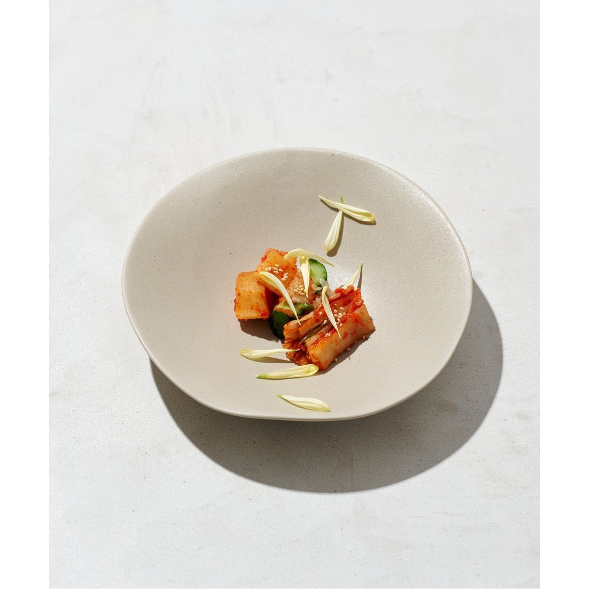 [}C]yNR CERAMICS/GkA[Z~bNz HIN LOW BOWL {E 21.5cm/W[iX^_[ht@j`[iJOURNAL STANDARD FURNITUREj x[W