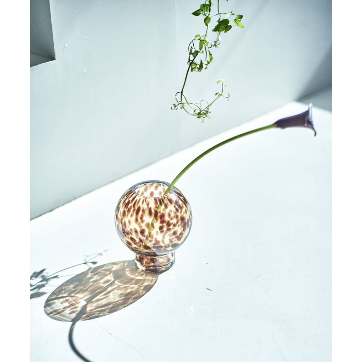 [�}���C]FLOWER VASE BALL LEOPARD �t�����[�x�[�X/�W���[�i���X�^���_�[�h�t�@�j�`���[�iJOURNAL STANDARD FURNITURE�j �u���E��