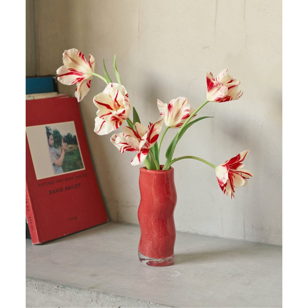 [�}���C]FLOWER VASE MODENA �t�����[�x�[�X/�W���[�i���X�^���_�[�h�t�@�j�`���[�iJOURNAL STANDARD FURNITURE�j ���b�h