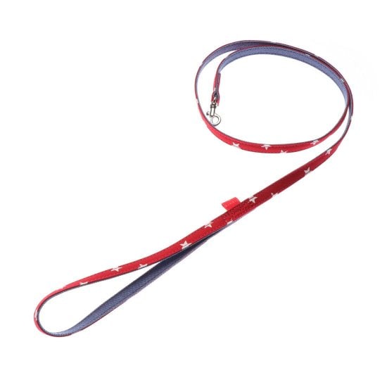 [}C]X^[fj[hSS/o[fBiBIRDIEj bh