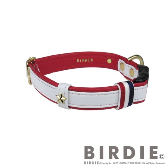 [}C]X^[\tgU[J[S/o[fBiBIRDIEj zCg