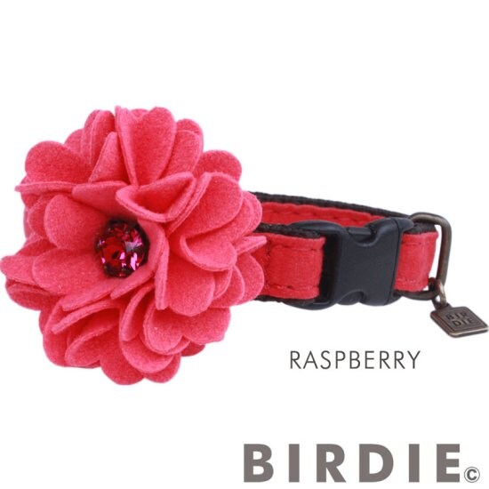 [}C]CAT_A̔Lp/o[fBiBIRDIEj Yx[