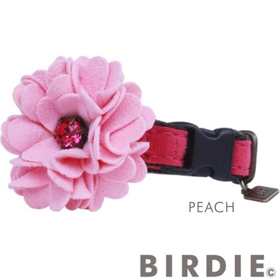 [}C]CAT_A̔Lp/o[fBiBIRDIEj s[`