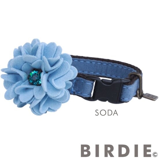 [}C]CAT_A̔Lp/o[fBiBIRDIEj \[_