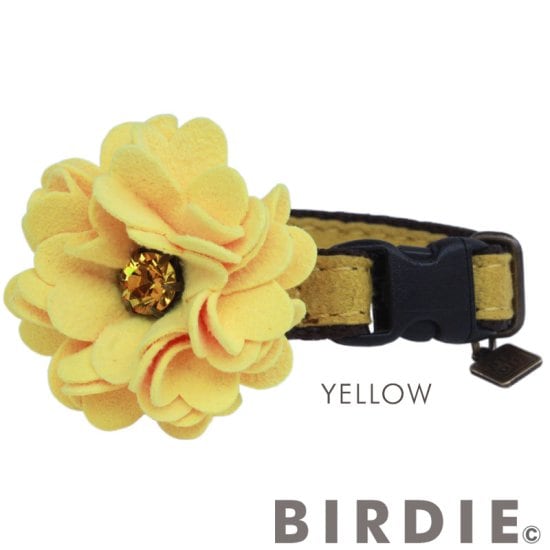 [}C]CAT_A̔Lp/o[fBiBIRDIEj CG[