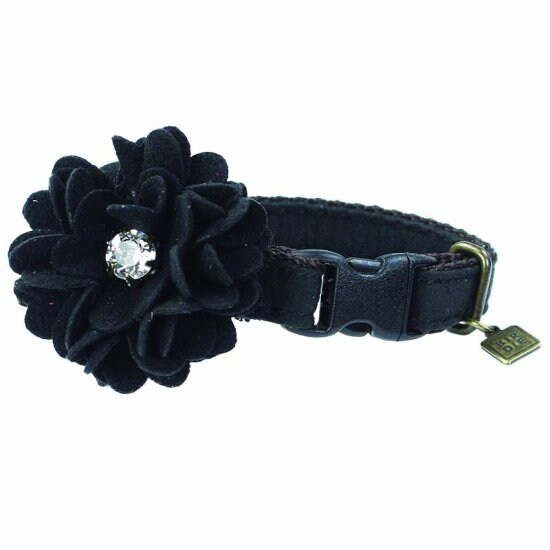 [}C]CAT_A̔Lp/o[fBiBIRDIEj ubN