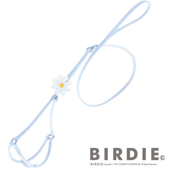 [}C]}[Kbgփ[hS/o[fBiBIRDIEj zCg