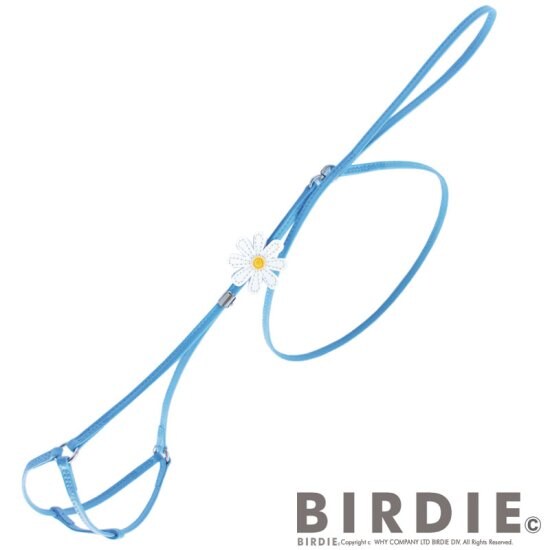 [}C]}[Kbgփ[hS/o[fBiBIRDIEj u[