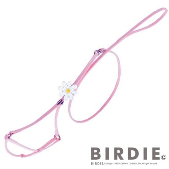 [}C]}[Kbgփ[hS/o[fBiBIRDIEj sN