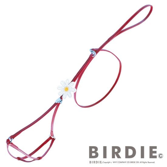 [}C]}[Kbgփ[hM/o[fBiBIRDIEj bh