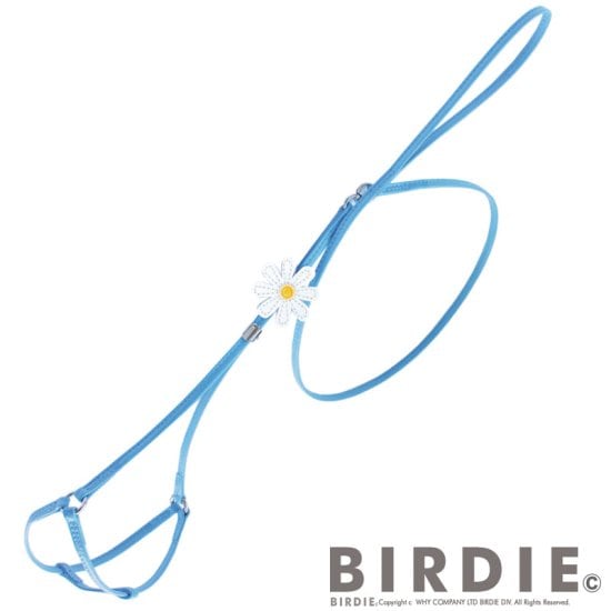 [}C]}[Kbgփ[hM/o[fBiBIRDIEj u[