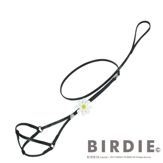 [}C]}[Kbgփ[hM/o[fBiBIRDIEj ubN