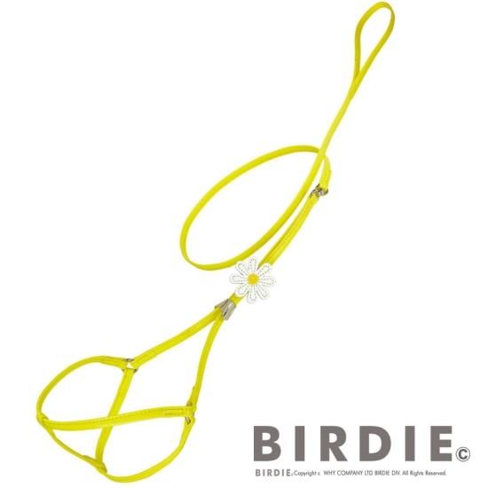 [}C]}[Kbgփ[hM/o[fBiBIRDIEj CG[