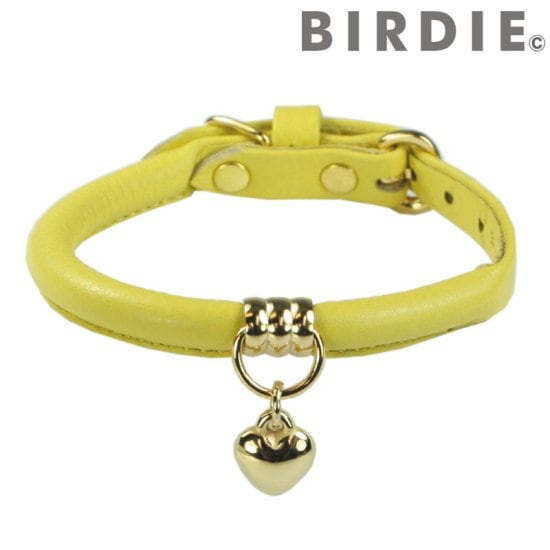 [}C]WFg[J[27/o[fBiBIRDIEj CG[