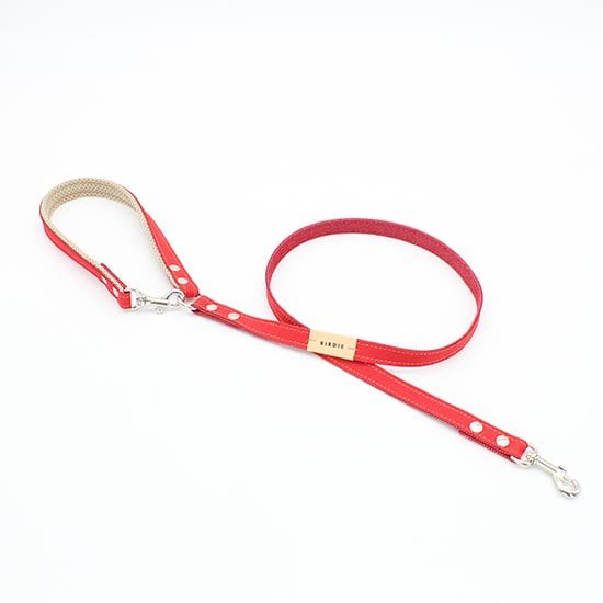 [}C]z[h[hS/o[fBiBIRDIEj bh