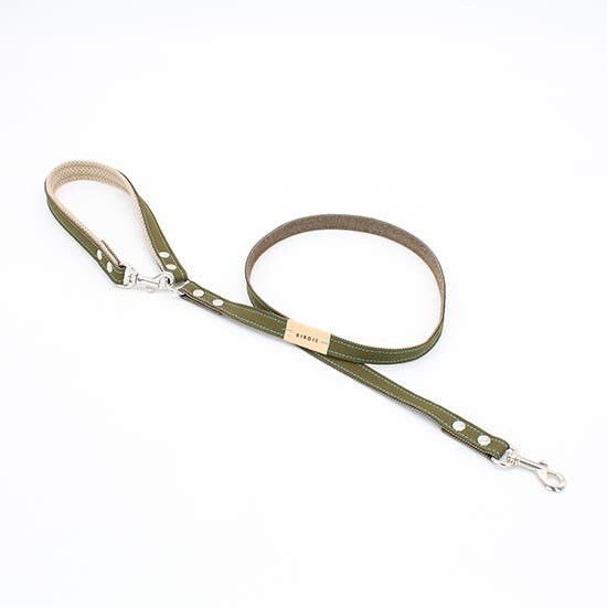 [}C]z[h[hS/o[fBiBIRDIEj J[L