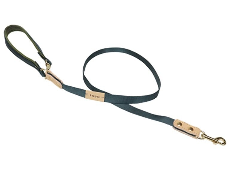 [}C]R[h/o[fBiBIRDIEj J[L