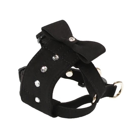 [}C]o[n[lXS/o[fBiBIRDIEj ubN