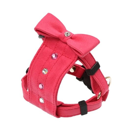 [}C]o[n[lXS/o[fBiBIRDIEj sN