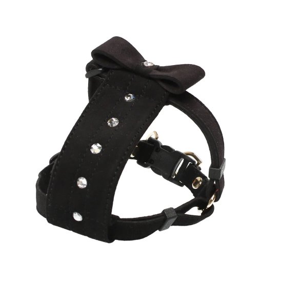 [}C]o[n[lXM/o[fBiBIRDIEj ubN