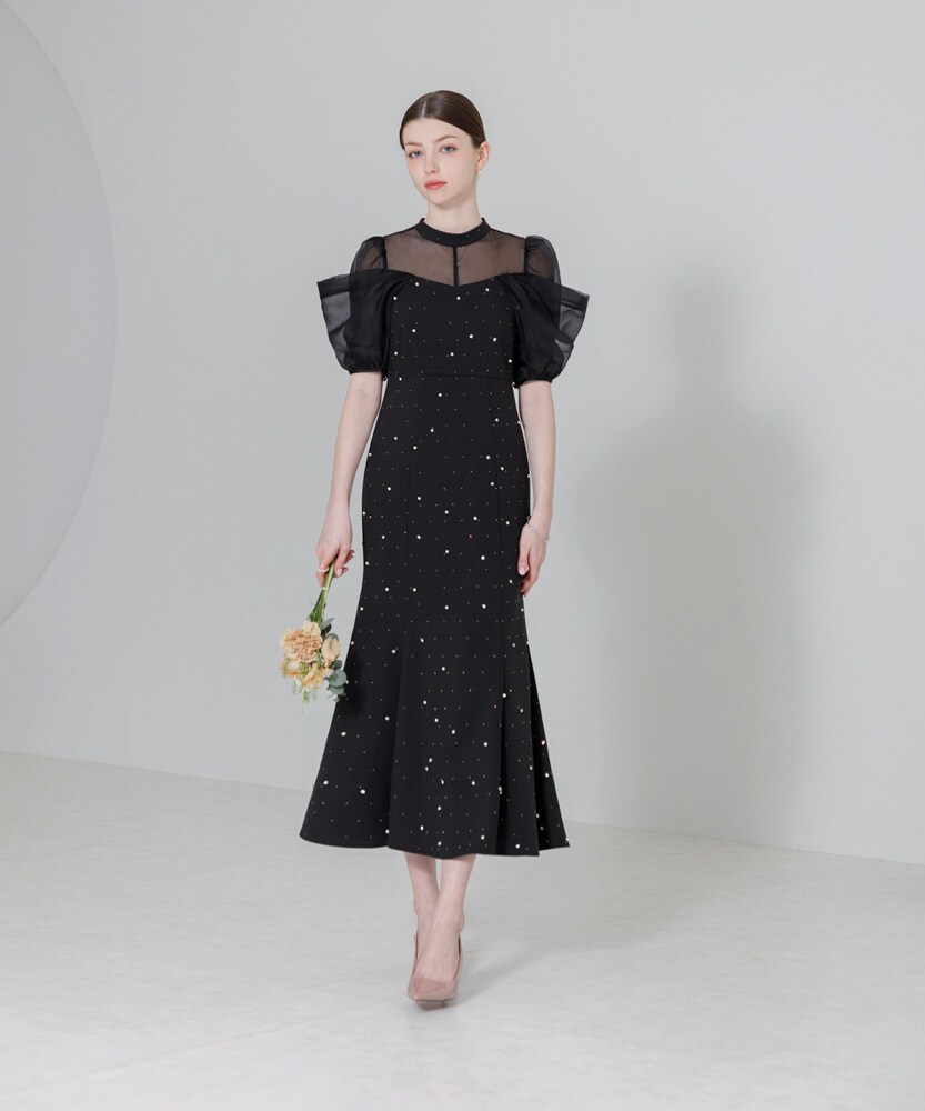 LEJA-パールビジューオーガンジーレースパフスリーブプチハイネック