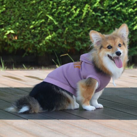 [^:LFW227-3600]ꏊI΂łuh̒ԃt[fB[BN̓uhS傫vgBłĂX^_[hȏiłB΋Cɋ߂ÂAɂȂꏊɕۊǂȂŉB@E@͔AK􂢁ERĉB܂gpĐ􂤍ۂɂ͒܂gpAY܂̎gp͔ĉBFF肷鋰ꂪ܂̂ő̕ƈꏏɐ킸AKPi􂢂ĉBԐɐZĂƐF鋰ꂪ܂B^u[͏kދꂪ܂̂łBvgE}[N̂ݐ􂢂ƃAC͂BgppxɂjAiꍇ܂Bjꂽۂɂ́ǍɂȂ܂̂ŁAɎgp𒆎~ĉBݍ񂾏ꍇɂ͂ɎoAbtɂkB