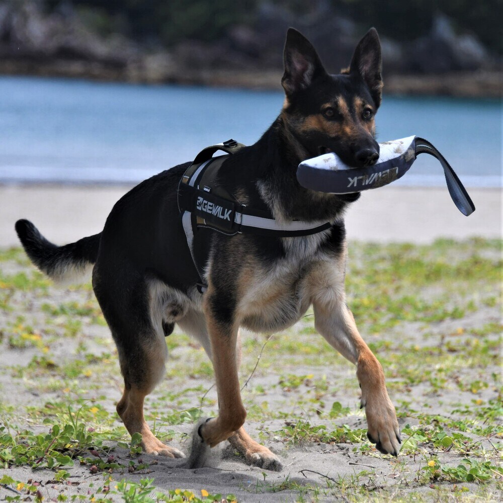 バナナジグ　7個セット Z－7 バイティング バナナ【M】おもちゃ | ジウォーク(GEWALK