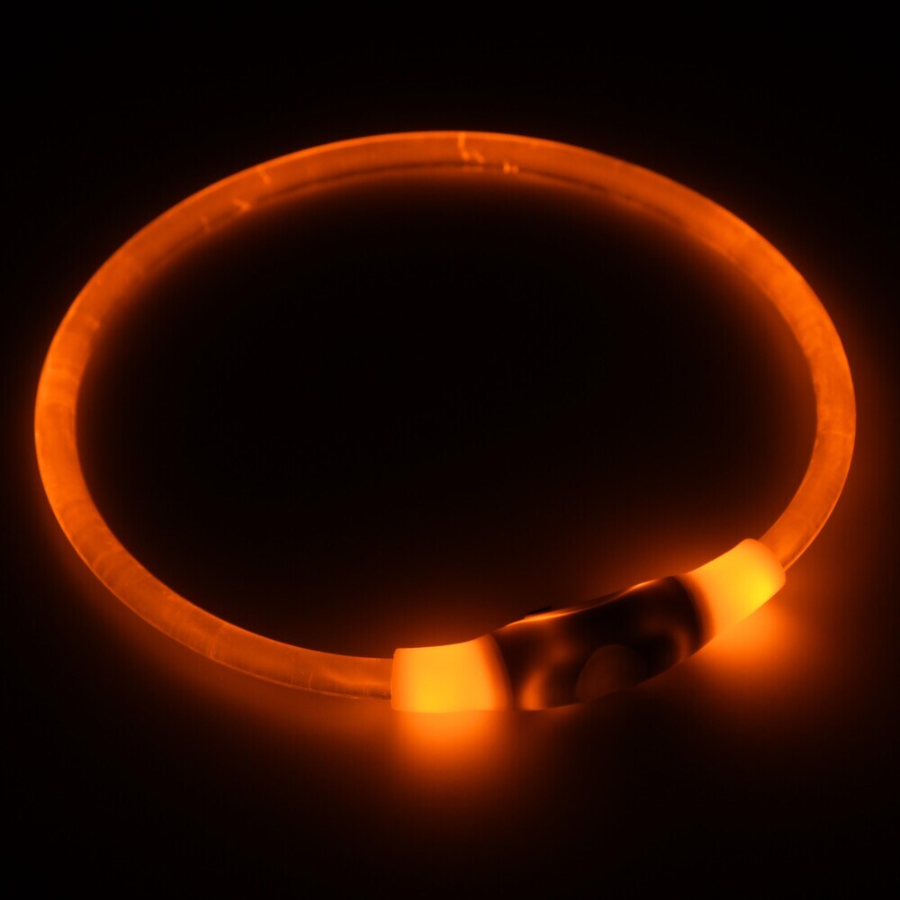 [}C]LEDZ[teBtbVlbNOyLz/WEH[NiGEWALKj CG[