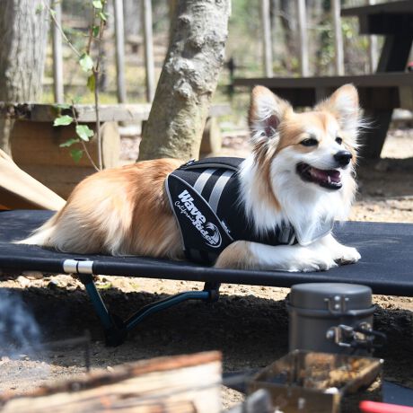 [^:LGE500-6300]ƈꏏɃEH[^[X|[cyނ߂ɐ݌vBVvȗ`̃fUCŒRȂA͂܂B㕔ɃnhĂAKxȌ݂Ɗۂ݂AObv₷\łBbnqctq`?gpC􂫁AC؂ɂƂĂAɂDĂ܂Bӂ܂ňSɍs悤ɁA[ht郊OtĂ܂B܂A݂ɂxN̗pAċA˂gpĂ̂ŁA˂SłBgp̓ybgڂ𗣂ȂŉBgpOɓ_Aꍇ͐V̂ƌĉBybgȊOɂ͎gpȂŉB̖h~ׁ̈AKTCYEK̏dȊÕybgɂ͎gpȂŉBAꍇ͓K̏dɗ]T̂鐻igpB̏ꏊɂƂǂ߂ẴׂPCɂ͎gpȂŉBlybgjГȂ悤ɒӂĉBAꍇ͏btɂkB{i͐gpBgp@̌╪ECEɂ鎖̂ɂẮAؐӔC𕉂܂Bqlgpۂ́AKیҗlĉB{i͏ՕiłBgpOɕK_AUOڈɐViɔւĉBقT̔jꂽgpȂŉBybg񂾂AЂƁA؂ꂽj܂B{igpۂ́A܂߂ĂȂA_ĉBybgꍇ́AɎgpȂŉBG▀CȂǂŐFꍇ܂BɐF̔ѐF̃ybgɂ͂ӉB΋C␅C̑ł̂gpۊǂ͂ȂŉBGꂽꍇ́AȏꏊɒuĊĉB̉͐ŔG炵złڂĂ@艺BcEybĝӂȂɕۊǂĉB