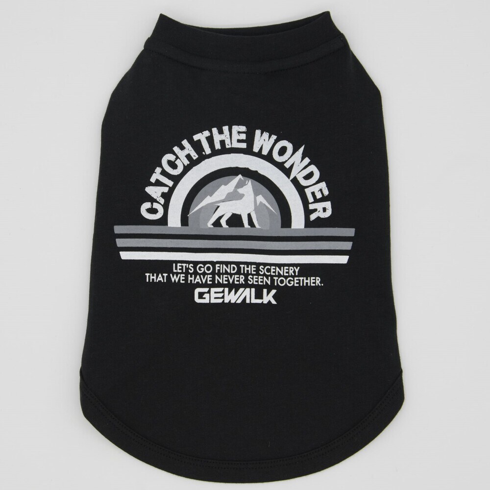 [}C]OtBbNTVcSyCGzR[M[pTCY/WEH[NiGEWALKj _[NlCr[